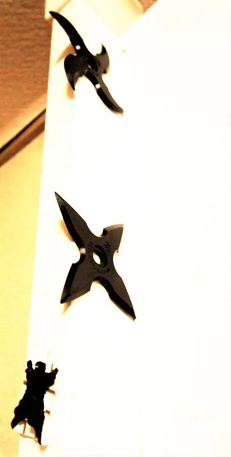 טוקיו Ninja Room In Hotel New Koyo 2*,